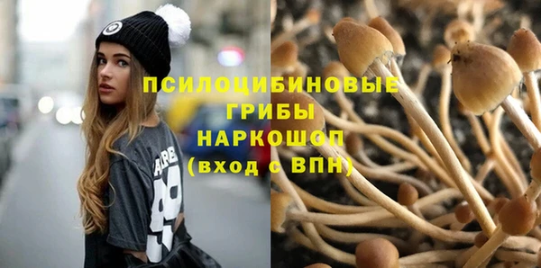 PSILOCYBIN Белоозёрский